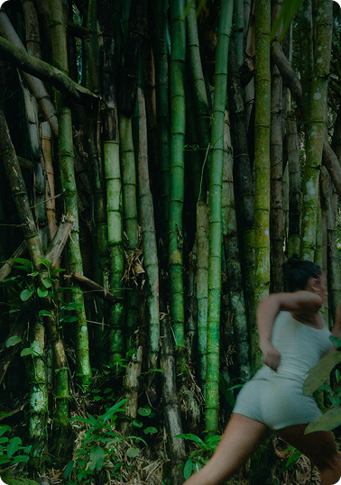 Geen bamboo voor ons!